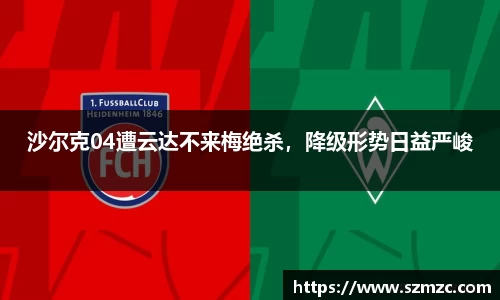 HAHABET网址