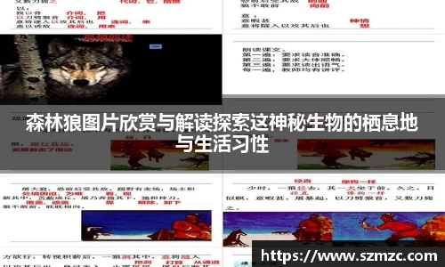 HAHABET官网